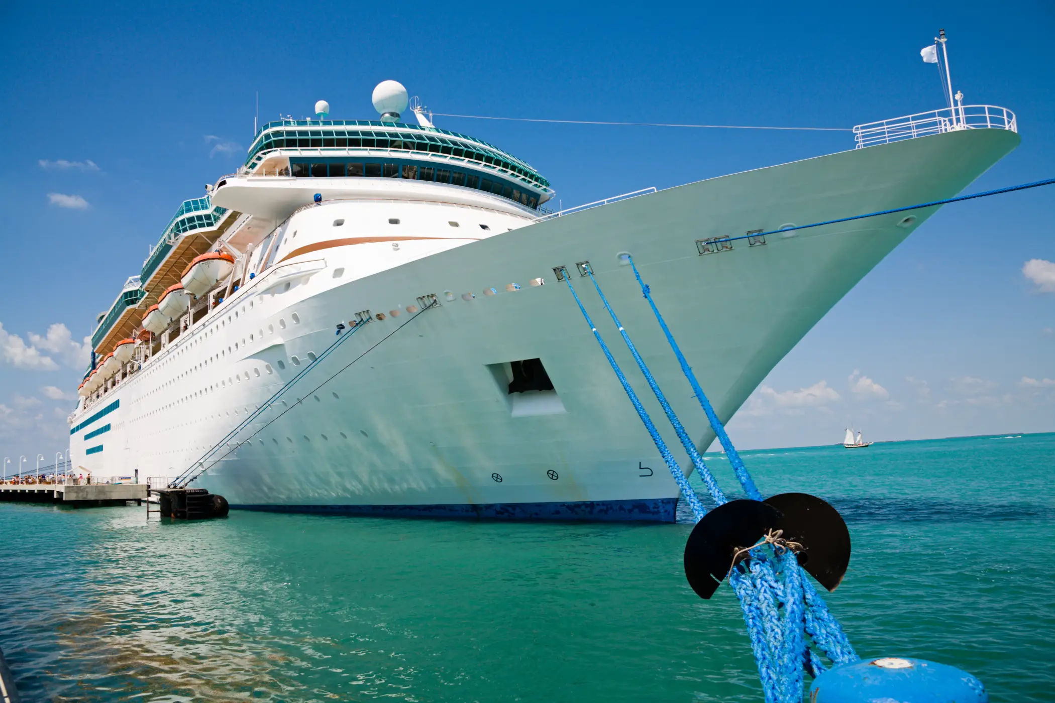 Hiring a professional property management company is a lot like a cruise